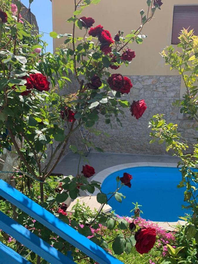 Dalmatian Rustic House Villa Petrcane Ngoại thất bức ảnh